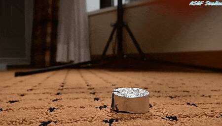 ACG takes care of tiny alien invasion! - MP4