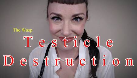 Testicle Destruction