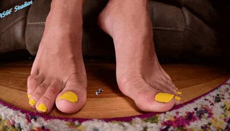 Enchantress Sahrye MICRO VORE and CRUSH! - MP4