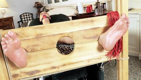 FEET TORMENT PILLORY - smartphone version