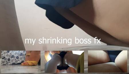 shrinking boss