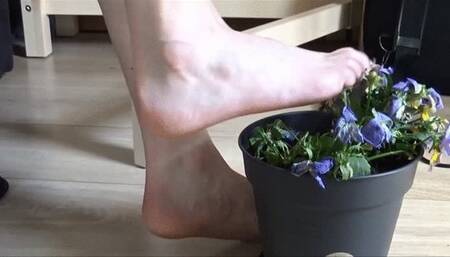 Christine plays barefoot with a potted plant