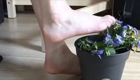 Plant Fetish Porn - Foot Fetish Soil Porn Videos (2) - FAPSTER