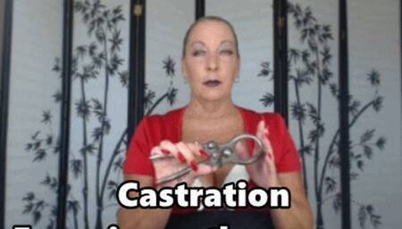 Castration Experience the Process Goddess Natasha (HD) WMV