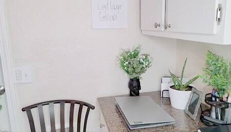 Litigious Loser Humiliation