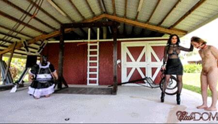 The Whipping Boy Gets Pegged