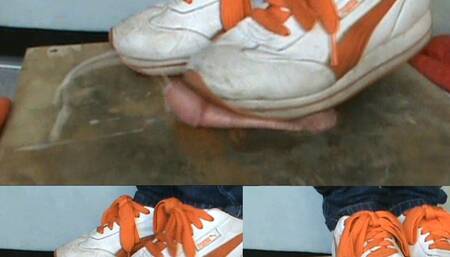 Platform Pumas and Cum Fountains