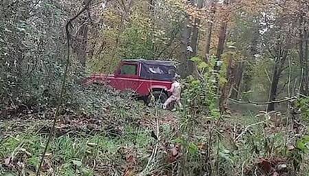 This is No Picnic in the Woods