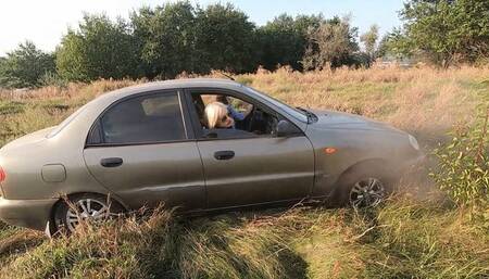 Girls driving over high grass and getting stuck