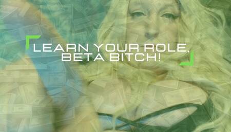 Learn Your Role, Beta Bitch! [1080p VISUAL AUDIO MP4]