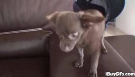 Carly Parker busty spex slut