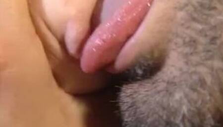 Francesca Nunzi - La Coccinella