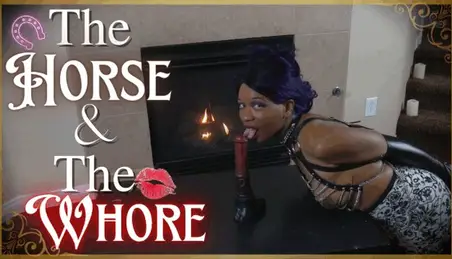 Grills And Horse Xxx - Horse And Grill Porn Videos - FAPSTER