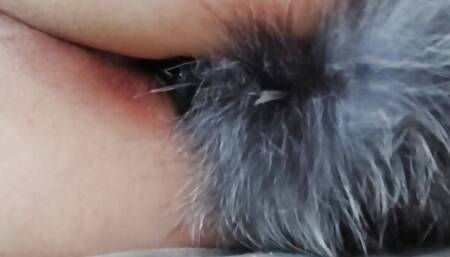 The winding tail in Poller's ass