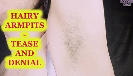 HAIRY ARMPITS - TEASE AND DENIAL