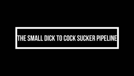 Small Dick To Cocksucker Pipeline