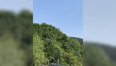 Outside pee ????????????