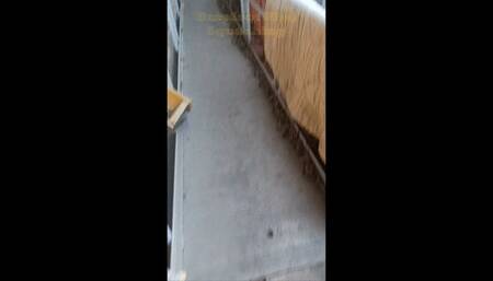 Bbw goes barefoot Mud Squashing Pov M4v