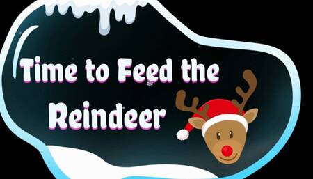 Time to Feed the Reindeer