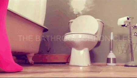 Pink Shants Shoes w silver Shirt The Bathroom Chronicles  BC42023