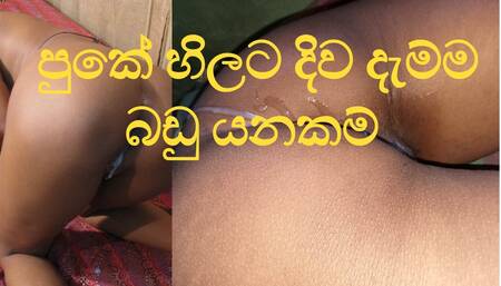 eating Anal Sinhala Pleasure from the tongue -ass licking