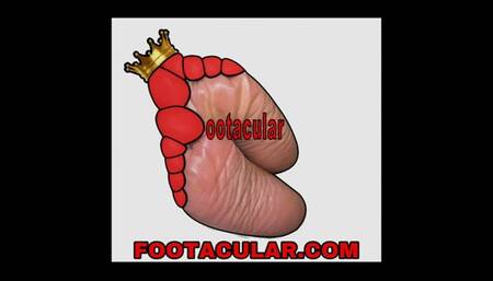 Fortune Teller Cassandra Tricks Fool