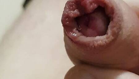Precum dripping