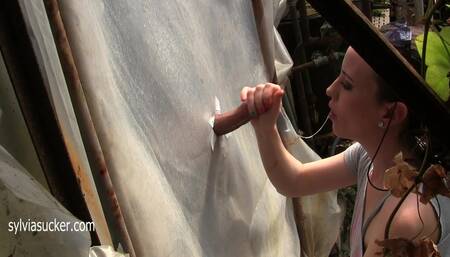 Glory Hole Blowjob in the Greenhouse.