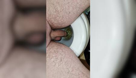 Night's pissing after 3 beers