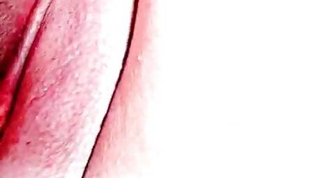 Big pussy