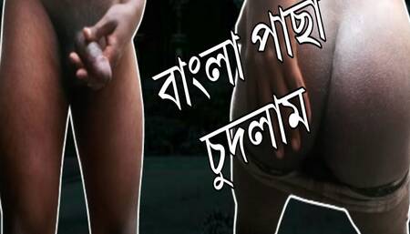 Deshi King