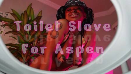 Toilet Slave For Aspen