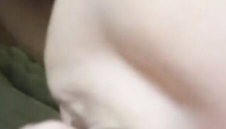 Cougar likes sucking off nuts and licking assholes / Πόσο μου αρέσει να σας γλειφω μπρος πισω