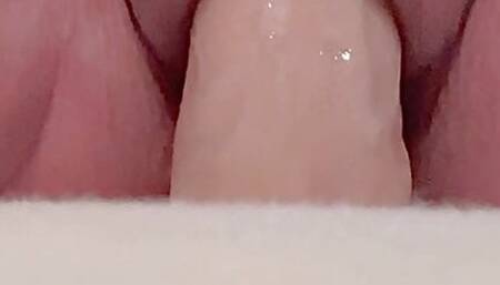 PlainJane