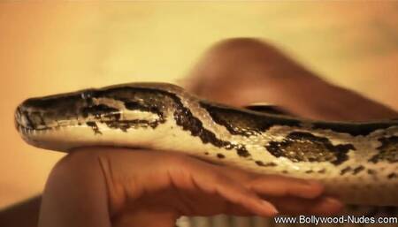 Brunette Babe Showing Her Stuff for her Intimate Fantasy