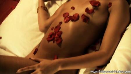 Variety Of Life In India