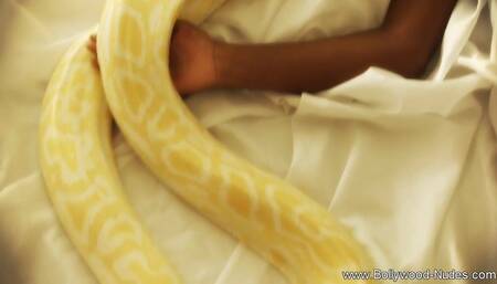 Arousing Striptease Of A Bollywood Woman