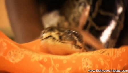 Explore The Sensuality Of India