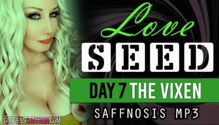 LOVE SEED Day 7 - The Vixen