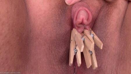 clothespin for each ruined orgasm (1080 wmv)