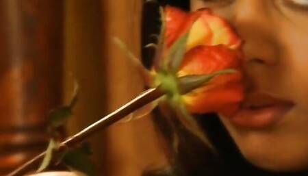 Erotic Indian Princess Rosy Red