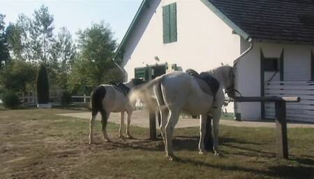 Double penetration party (Full Movie)