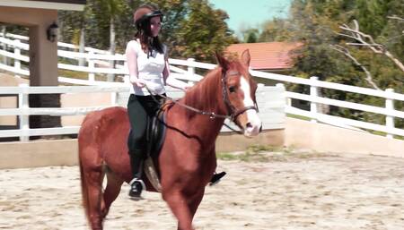 Sexy couple touching each other’s bodies on a wooden horse