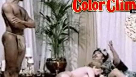 Patootie's harem orgy trailer by Color Climax