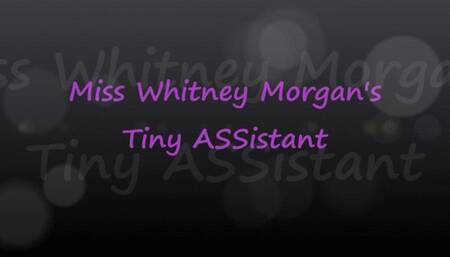 Miss Whitney Morgan’s Tiny ASSistant - mp4