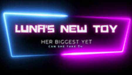 Luna's double hand dildo