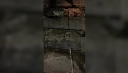 Piss on basement steps at work