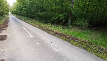 Titslapping in the middle of the road
