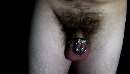 Cock Locked and Yellow Panties