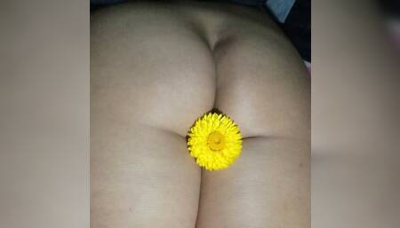 FORBIDDEN FRUITS WITH ADAMANDEVE AND LUPO